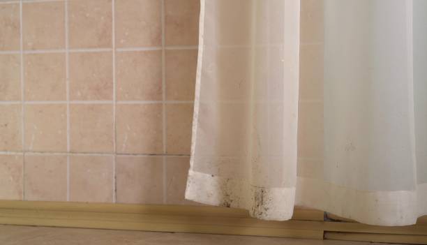Best Mold Removal for HVAC Installations  in La Habra, CA